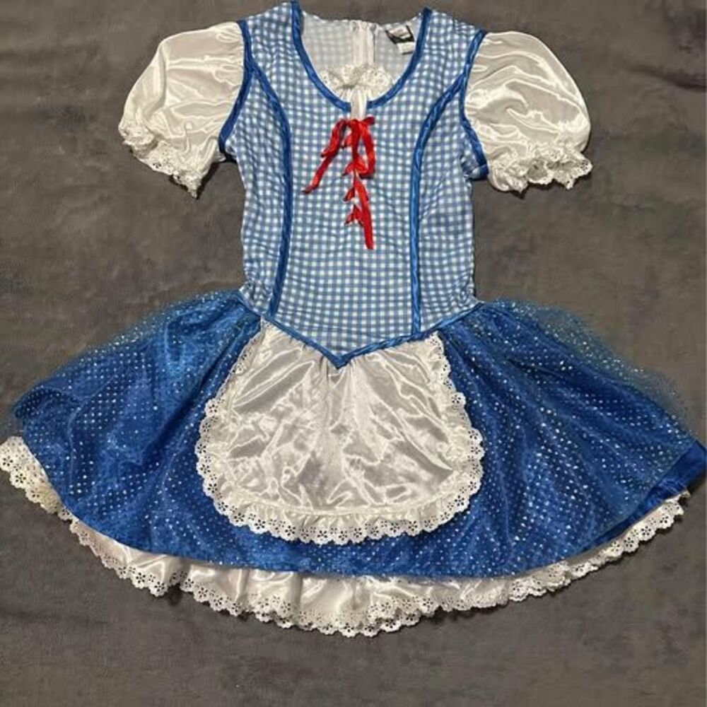 The Wizard of Oz Dorothy Halloween Costume (Child)